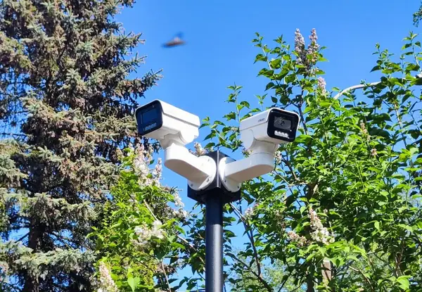 Две камеры на чёрной мачте BOXFORCAM™ развёрнуты в разные стороны, фон — синее небо и зелень