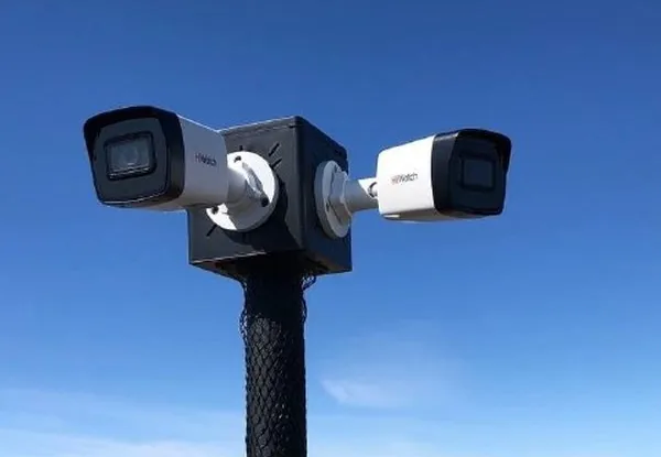 Две камеры на коробке BOXFORCAM™ на трубостойке в открытом поле