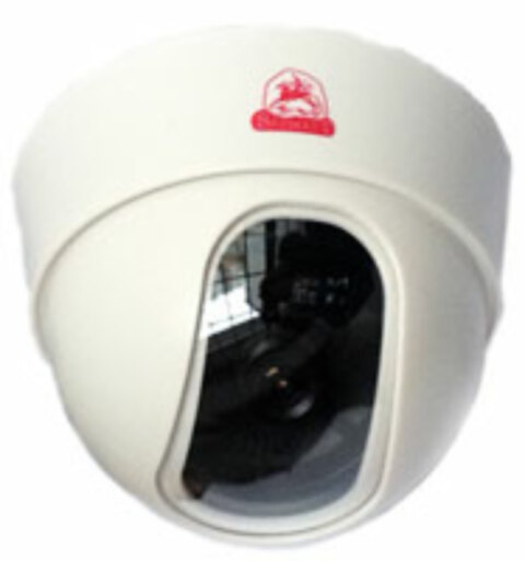 Sarmatt SR-IT80F36CTSS — фото камеры